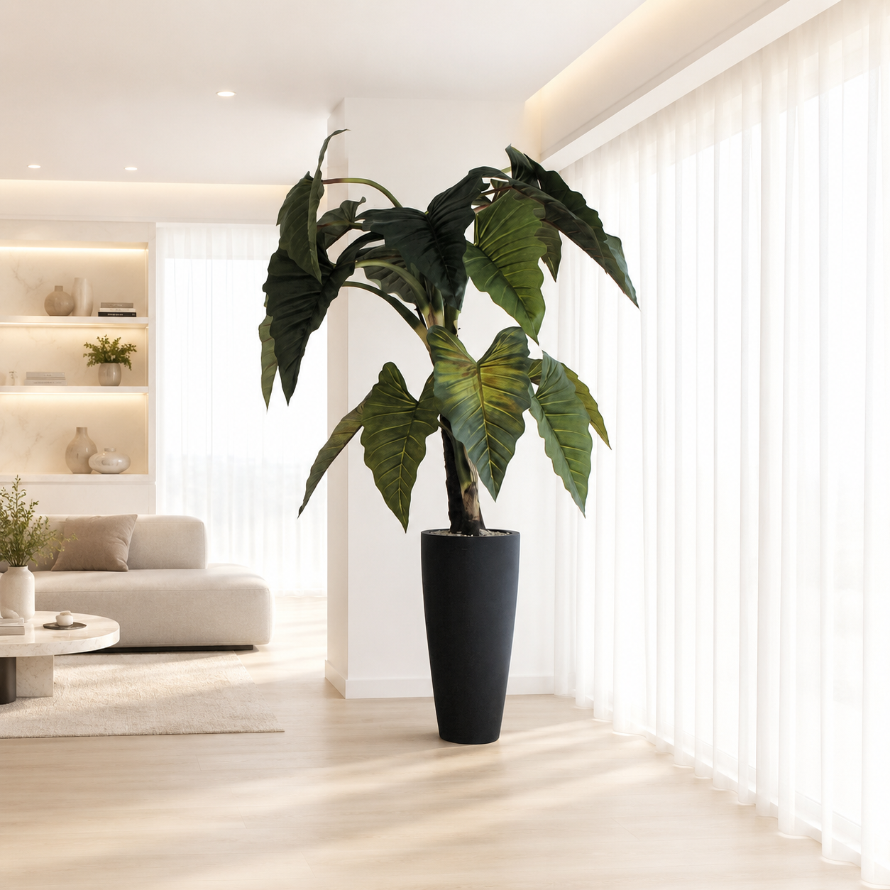 Alocasia Red Prince in schwarzem Übertopf Ashton für stilvolle Innenräume | Lichtvella
