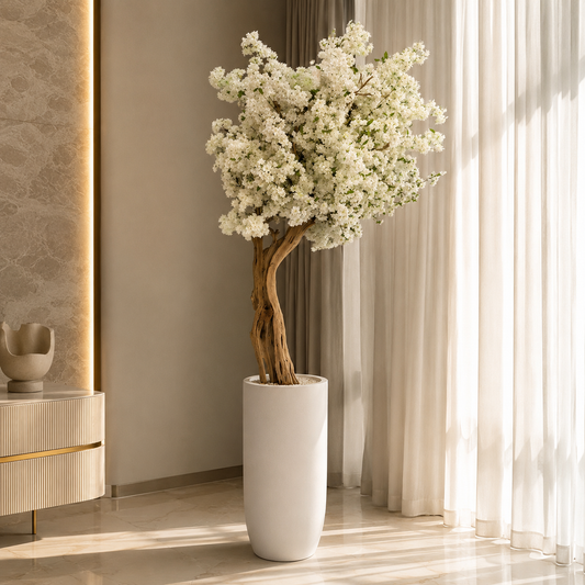 Weißer Kirschbaum in Übertopf St. Tropez Beige matt für stilvolle Innenräume | Lichtvella