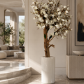 Magnolie in Übertopf St. Tropez Beige lackiert für stilvolle Innenräume | Lichtvella
