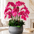 Schwarze Schale Java mit rosa Phalaenopsis-Orchideen für stilvolle Innenräume | Lichtvella
