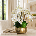Phalaenopsis-Orchideen in goldenem Übertopf für stilvolle Innenräume | Lichtvella