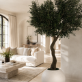 Olivenbaum in Vase Globe Beige matt für stilvolle Innenräume | Lichtvella