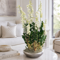 Dendrobium-Orchideen in silbernem Übertopf Avenue für stilvolle Innenräume | Lichtvella