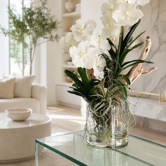 Vanda-Orchideen mit Treibholz in Glaszylinder für stilvolle Innenräume | Lichtvella
